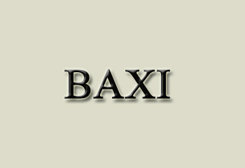 Termo Baxi